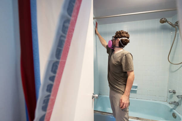 Best Basement Mold Removal  in Richmond, TX