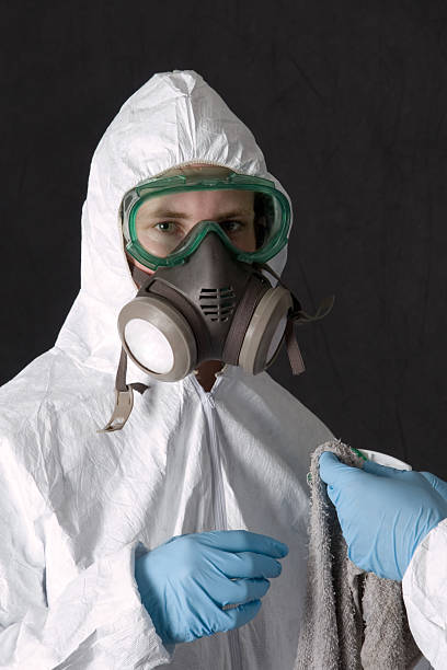 Best Attic Mold Removal  in Richmond, TX